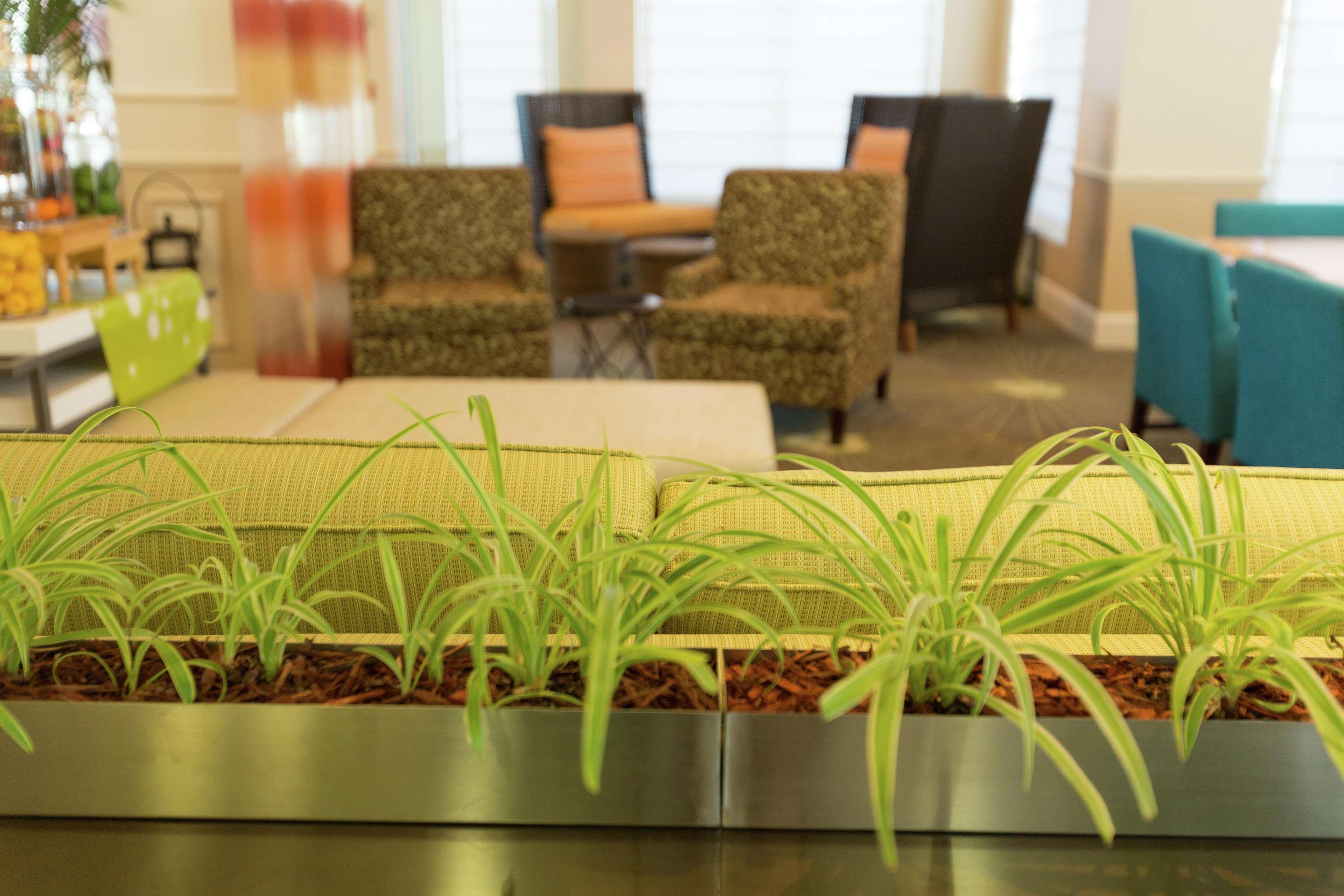 Hilton Garden Inn Saint Augustine Beach St. Augustine Beach Екстер'єр фото
